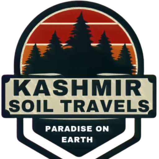 Best Deals On Kashmir Tour Packages Budget Kashmir Trip Plan