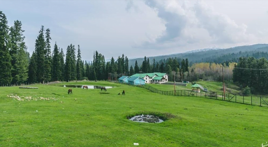 image-6-1