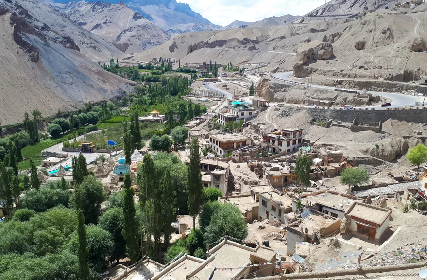 image-8