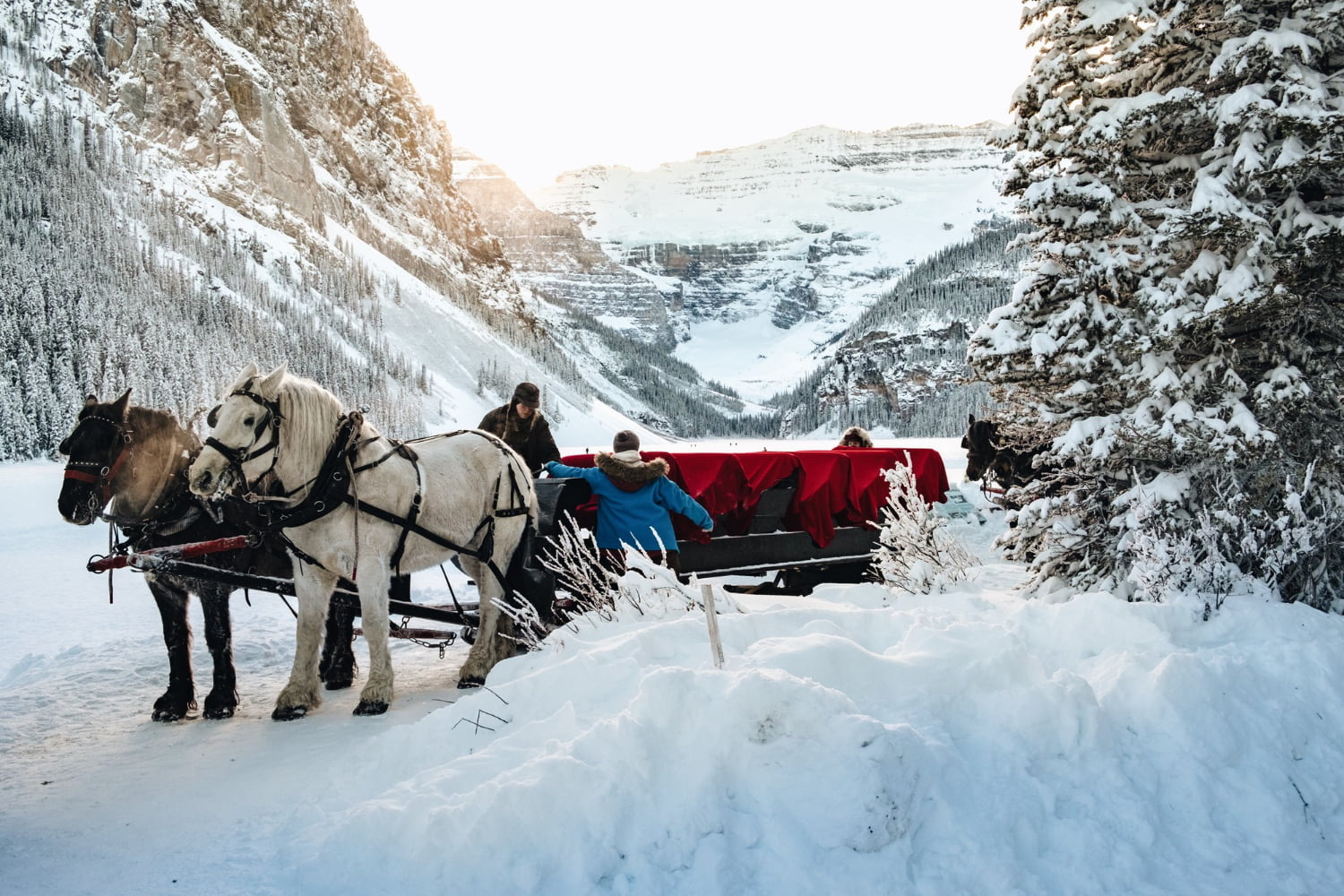 people-near-wagon-with-forest-snowy-forest-near-lake-louise-canada