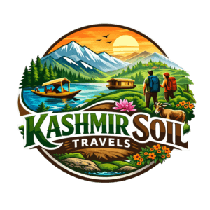 Kashmir soi travels logo